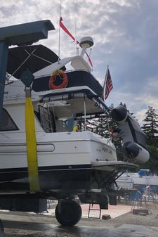 Bayliner 3388 Command Bridge Motoryacht image