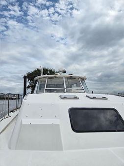 Endeavour Catamaran Trawler Cat 38 image