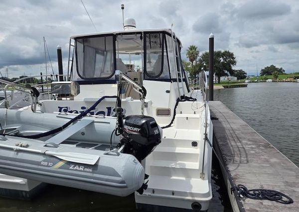 Endeavour Catamaran Trawler Cat 38 image