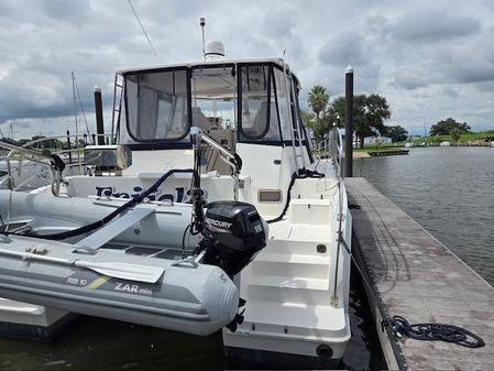 Endeavour Catamaran Trawler Cat 38 image