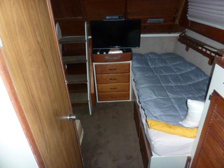 Tollycraft 34 Tri Cabin image