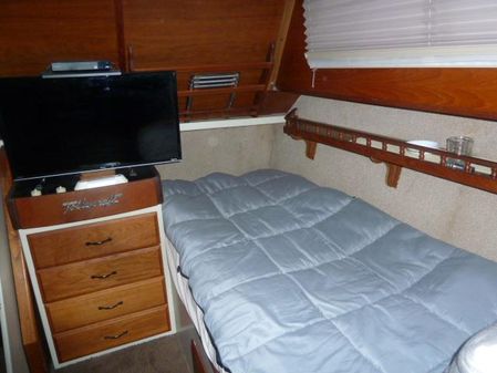 Tollycraft 34 Tri Cabin image