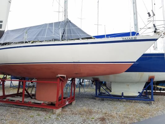 Canadian Sailcraft 36 - main image