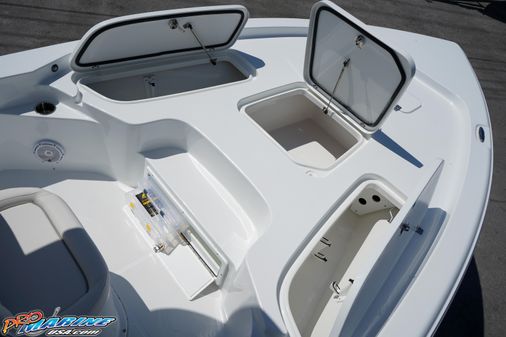 Sea Hunt BX 25 BR image