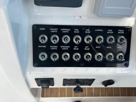 World Cat 320 DC image