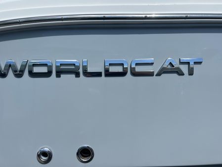 World Cat 320 DC image