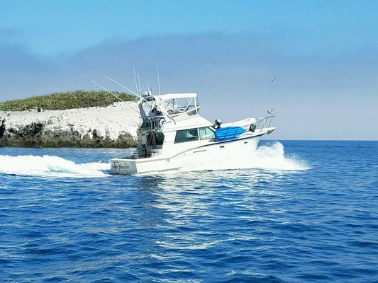 Hatteras Convertible - main image