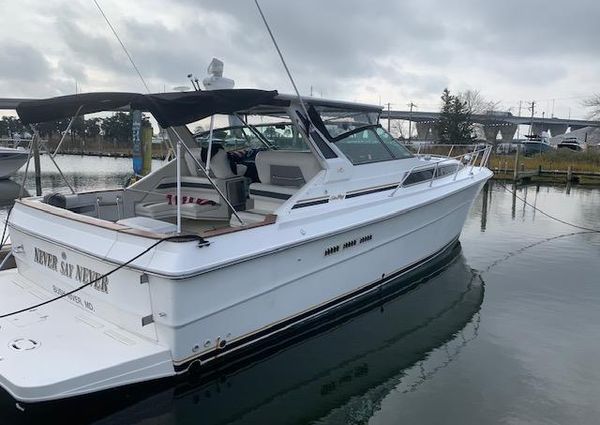 Sea-ray 39 image