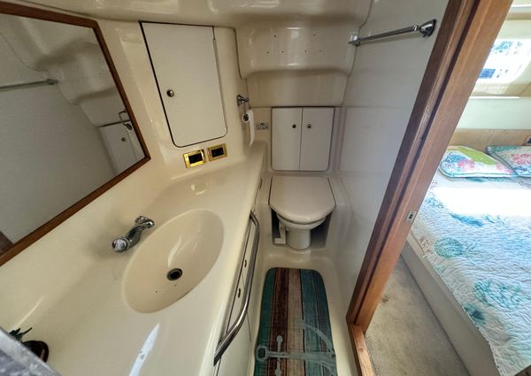 Sea-ray 420-AFT-CABIN image