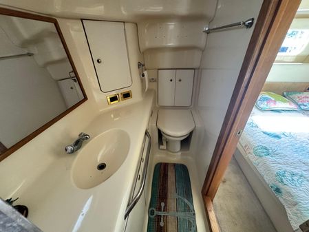 Sea Ray 420 Aft Cabin image