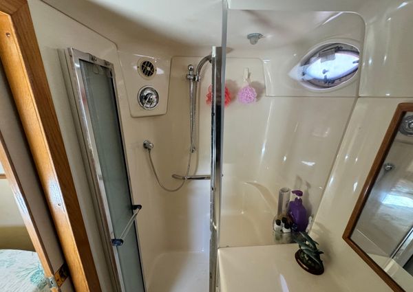 Sea-ray 420-AFT-CABIN image