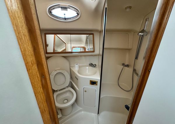 Sea-ray 420-AFT-CABIN image