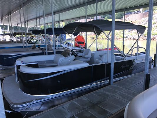 Avalon LSZ Quad Lounger 24' - main image