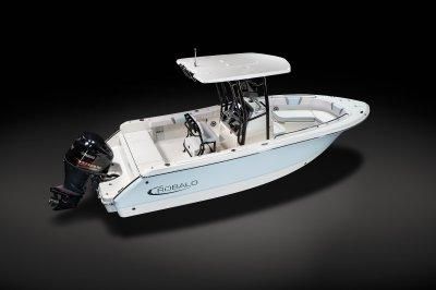 Robalo R232 Explorer image