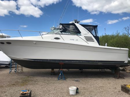 Sea Ray 33 Express Amberjack image