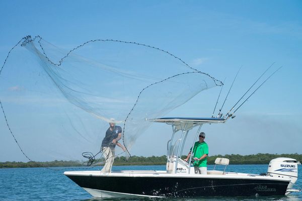 Sea Chaser 21 LX - main image