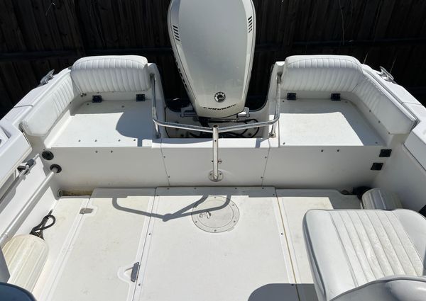 Boston-whaler 20-DAUNTLESS image