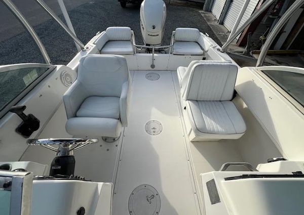 Boston-whaler 20-DAUNTLESS image