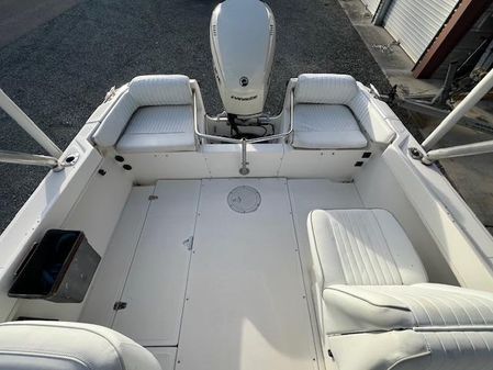 Boston-whaler 20-DAUNTLESS image