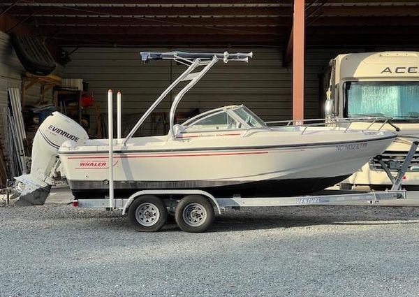 Boston-whaler 20-DAUNTLESS image