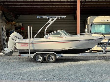 Boston-whaler 20-DAUNTLESS image