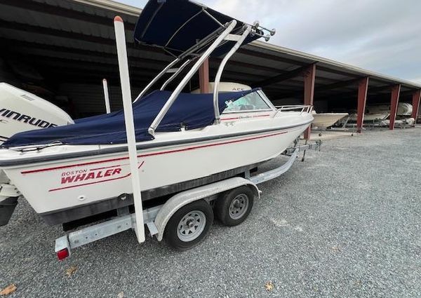 Boston-whaler 20-DAUNTLESS image