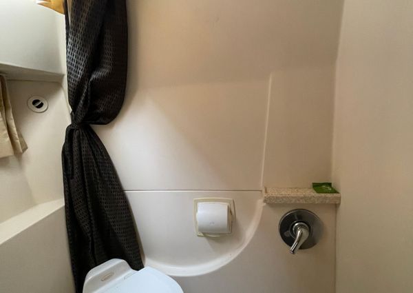 Regal 3060 Window Express image