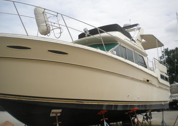 Sea-ray 360-AFT-CABIN image