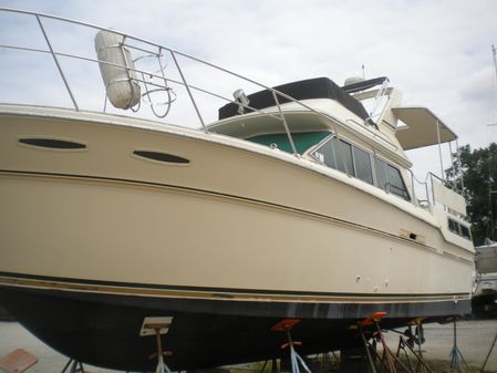 Sea-ray 360-AFT-CABIN image