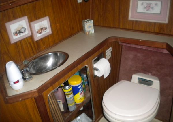 Sea-ray 360-AFT-CABIN image