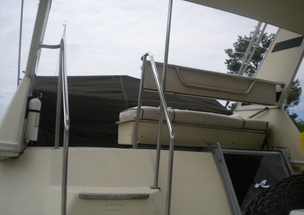 Sea-ray 360-AFT-CABIN image