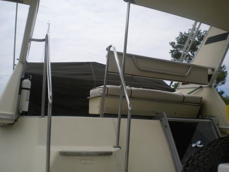 Sea-ray 360-AFT-CABIN image