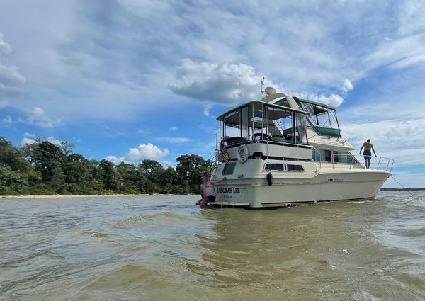 Sea-ray 360-AFT-CABIN image