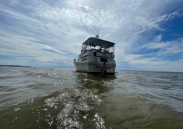 Sea-ray 360-AFT-CABIN image