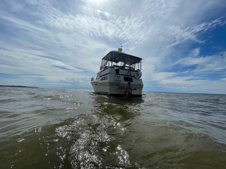 Sea-ray 360-AFT-CABIN image