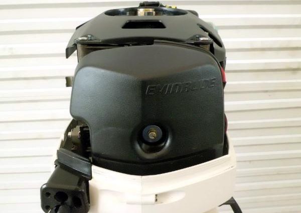 Evinrude  E-TEC 50hp 20 inch Shaft  Direct Injected  image
