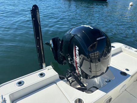 Boston Whaler 210 Montauk image