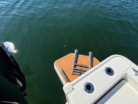 Boston Whaler 210 Montauk image