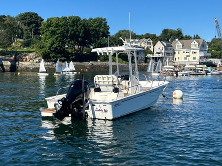 Boston Whaler 210 Montauk image