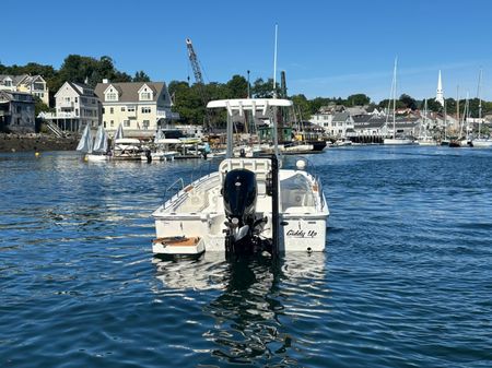 Boston Whaler 210 Montauk image