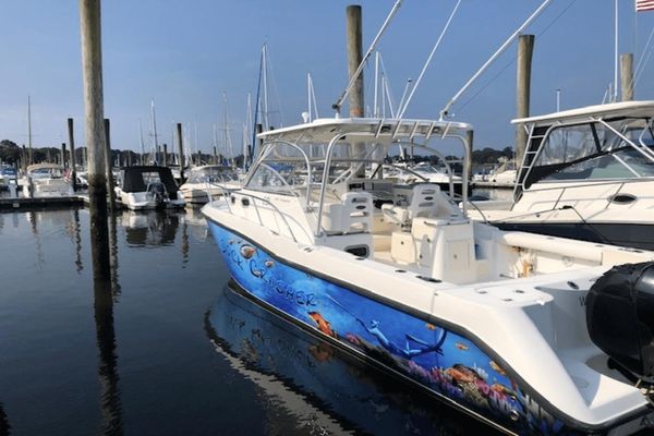 Boston Whaler 305 Conquest - main image