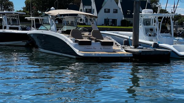 Sea Ray SDX 290