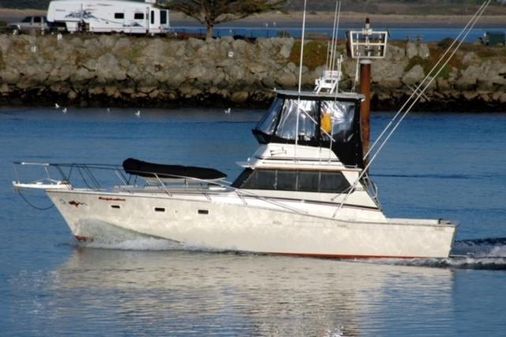 Viking SPORTFISH image