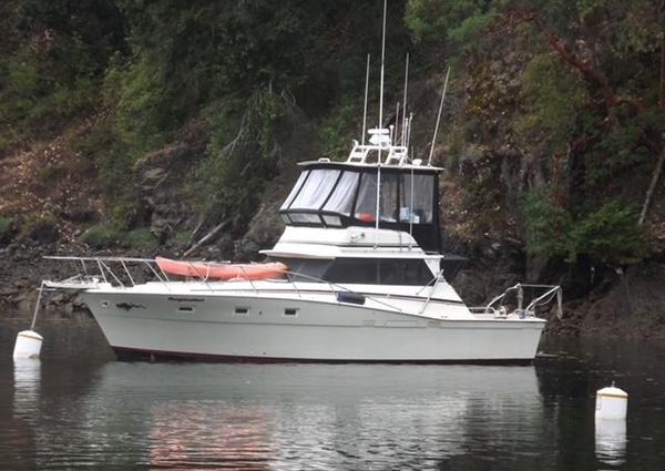 Viking SPORTFISH image