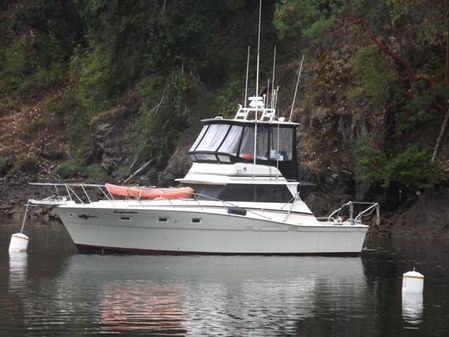 Viking SPORTFISH image