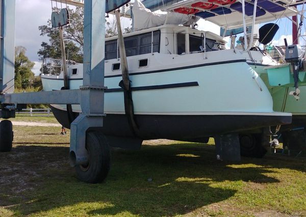 Fisher catamaran image