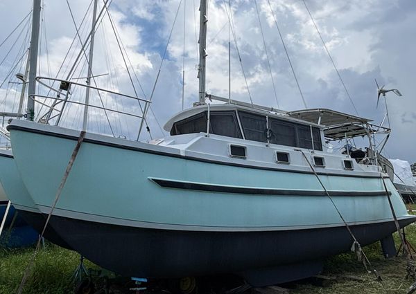 Fisher catamaran image