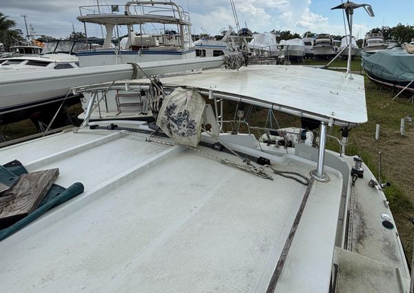 Fisher catamaran image