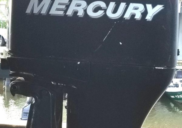 Mercury 115EXPLT image