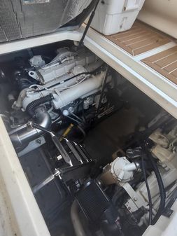 Sea Ray 460 Sundancer image